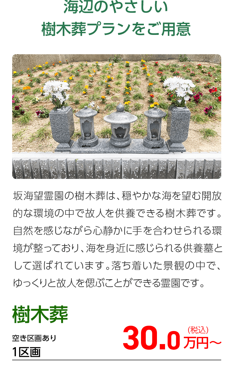 樹木葬ラインナップ