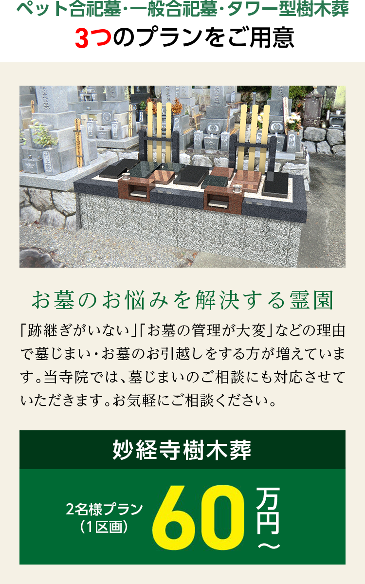 樹木葬ラインナップ