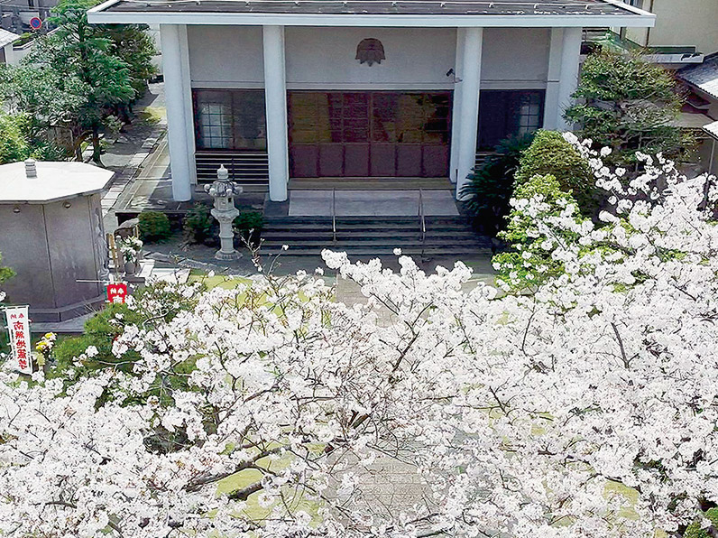 西福寺のご紹介