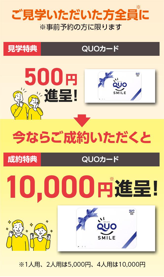 期間限定今だけキャンペーン